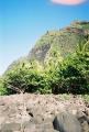 The Cliffs at Kee Beach, Kauai.