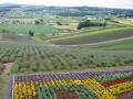 We visited the town of Furano on our way to Tokachi-Dake volcano.
