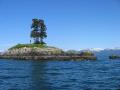 Out tour of Prince William Sound took us past Tree Island.
